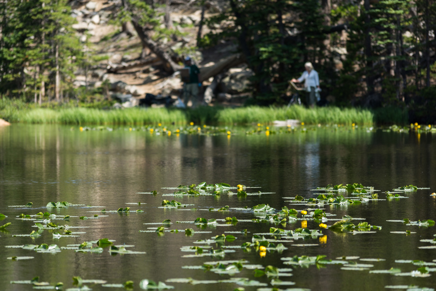 Nymph Lake