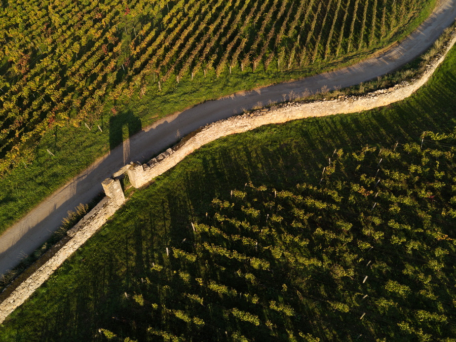 Clos des Mouches