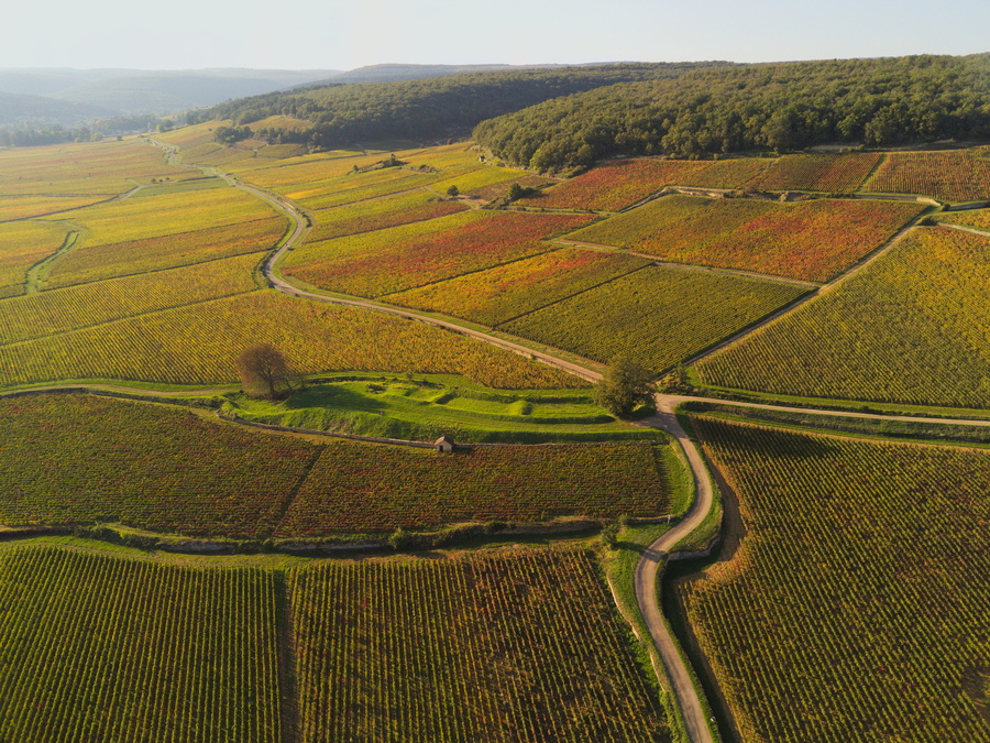 Savigny