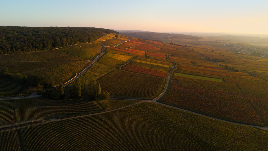 Corton