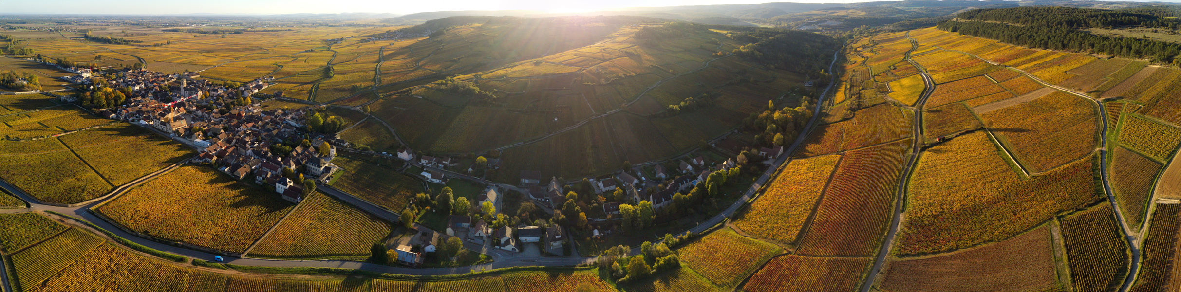 Pommard