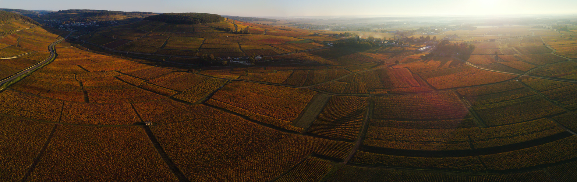 Corton