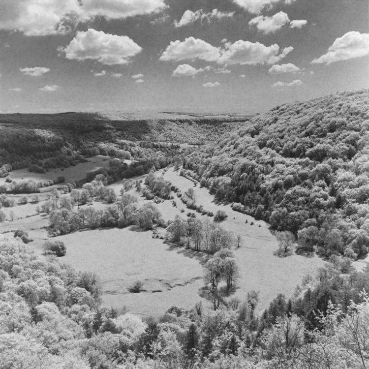 Bouilland