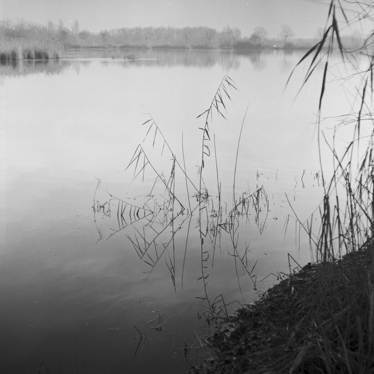 Lac de Montagny