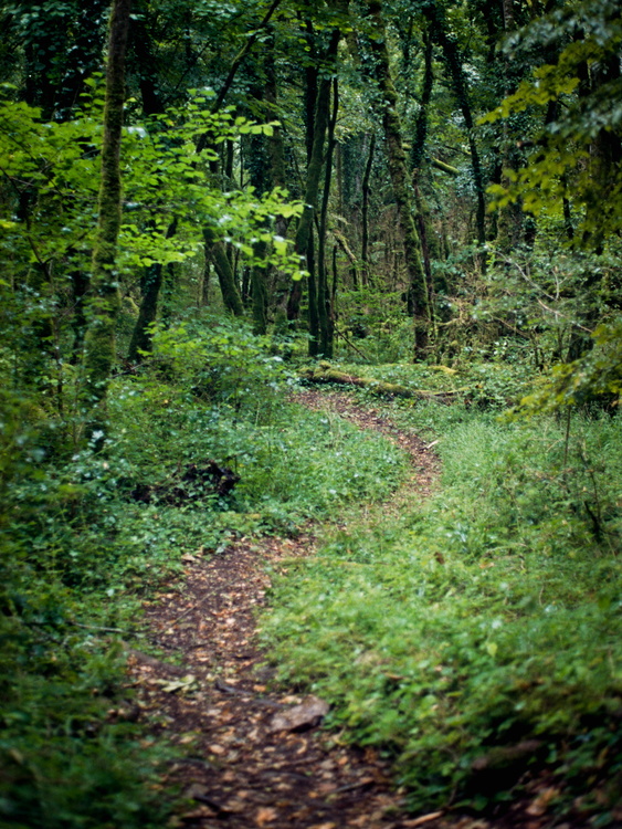 Combe à la Vieille