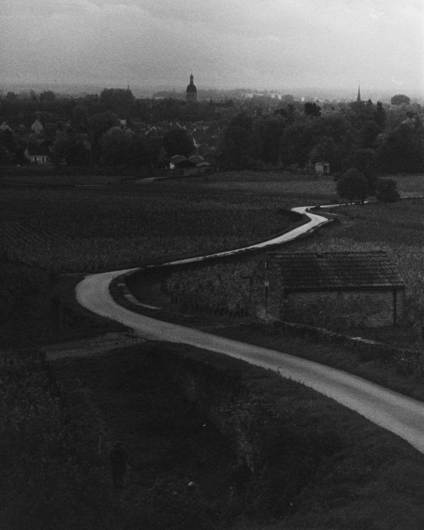 Chemin des Tilleuls
