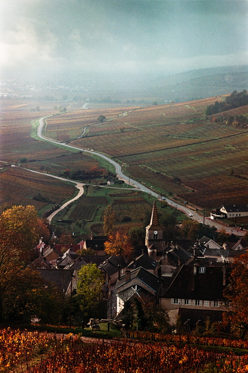 Pernand-Vergelesse
