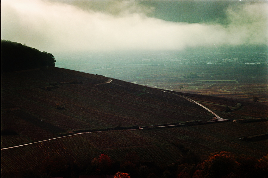 Montagne de Corton
