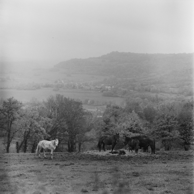 Mavilly-Mandelot