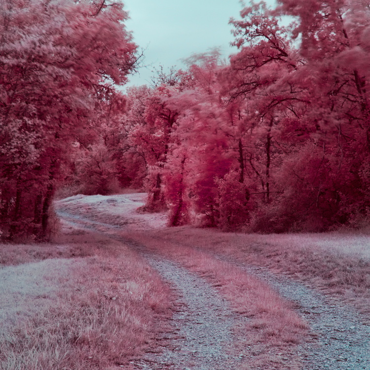 Chemin