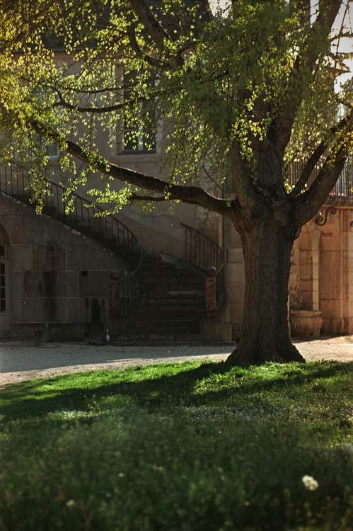 Parc de l'Arquebuse