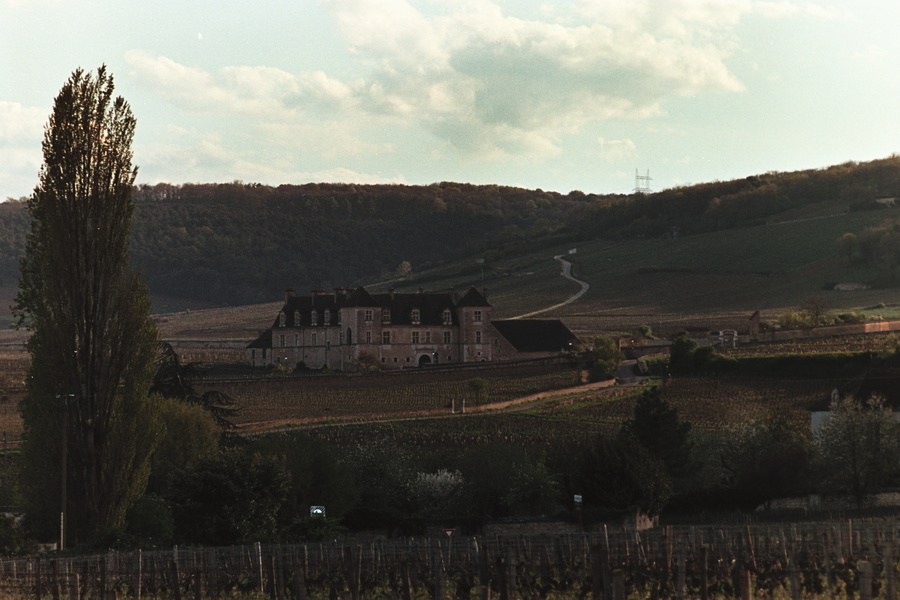 Clos Vougeot