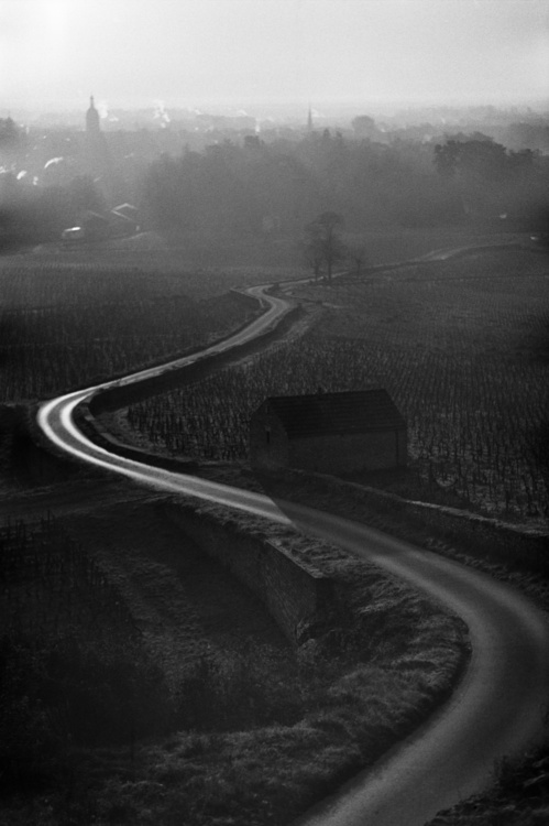 Chemin des tilleuls