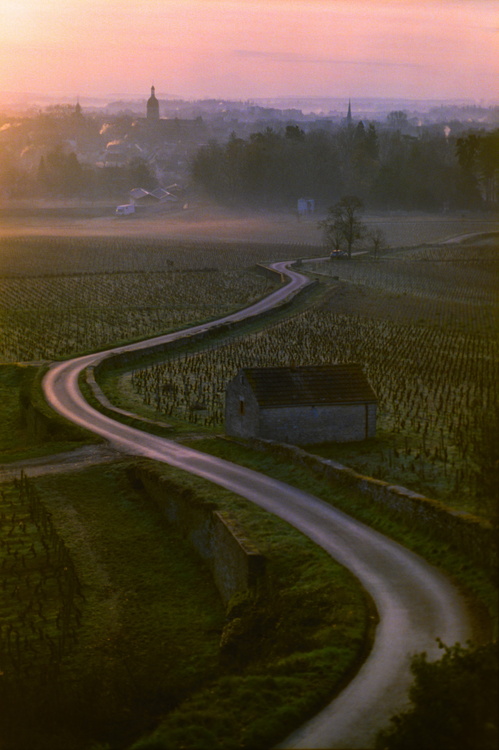 Chemin des tilleuls