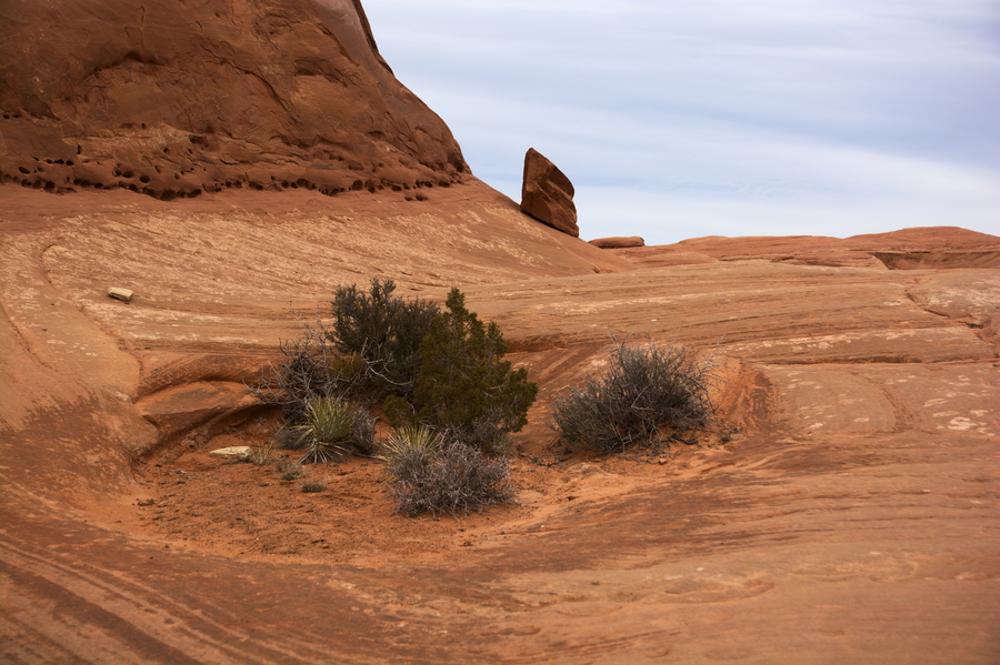 Arches