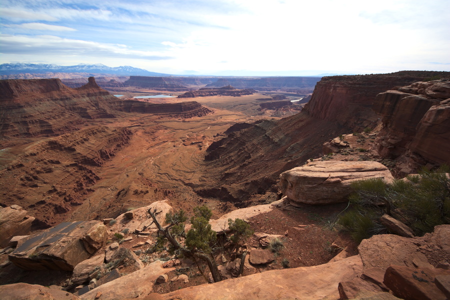 Canyon du Colorado