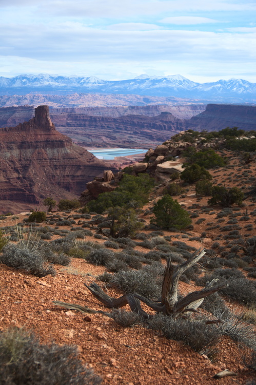 Canyon du Colorado