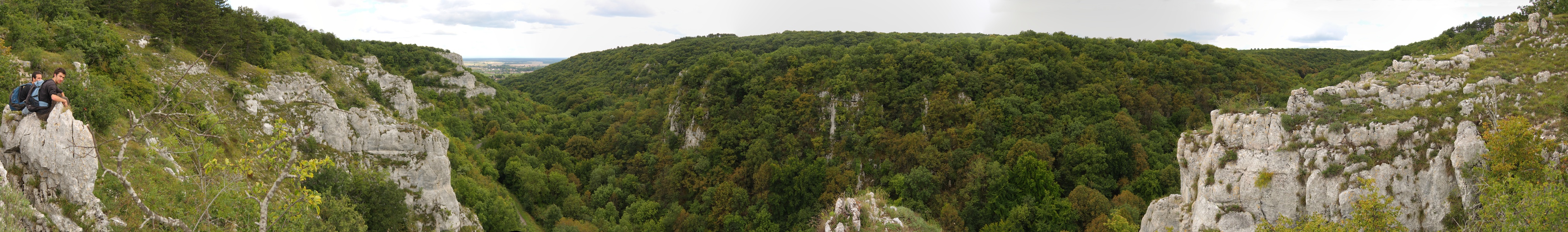 La combe de Chambolle-Musigny