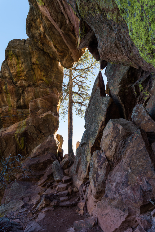 Royal Arch