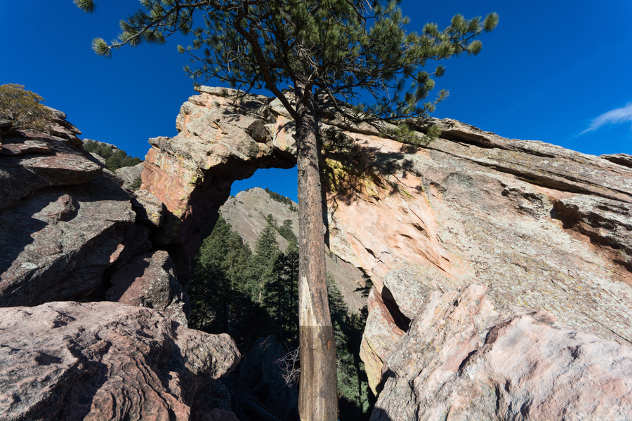 Royal Arch