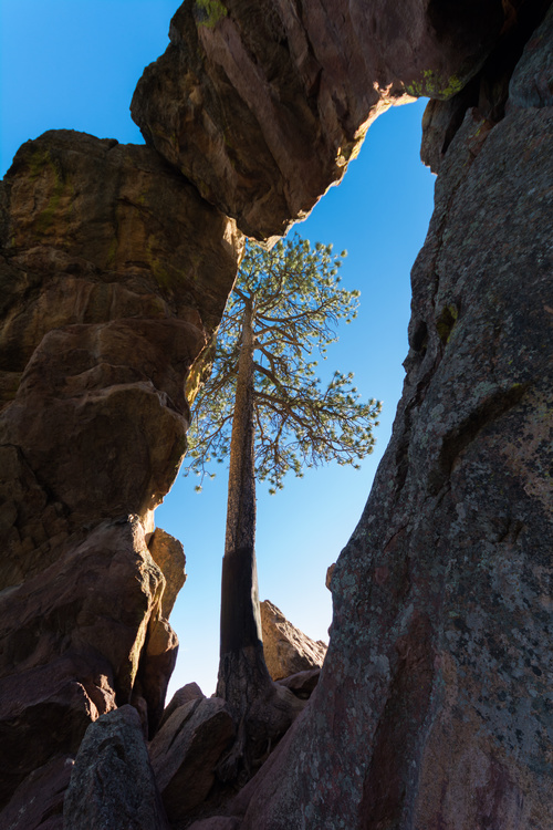 Royal Arch
