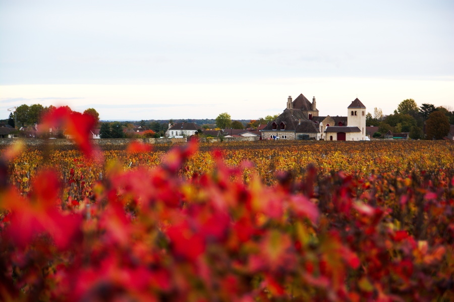 Clos de Vougeot