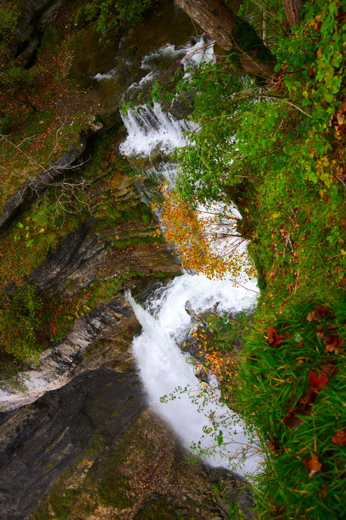 Le Grand Saut