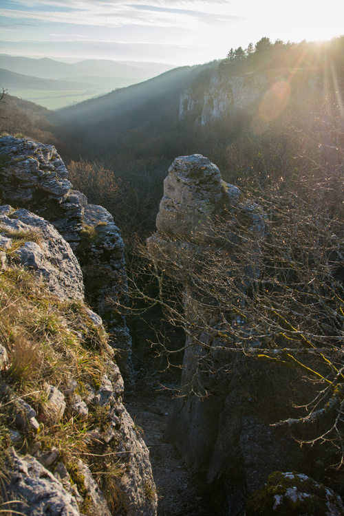 Combe aux mammouths
