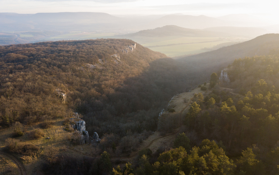 Combe aux mammouths