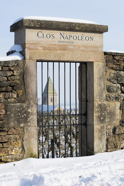 Clos Napoléon