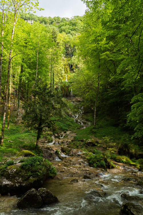 La tuffière