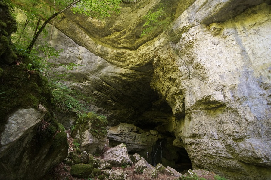 Source du Pontet