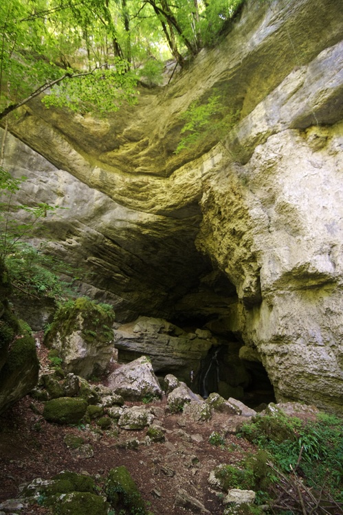 Source du Pontet
