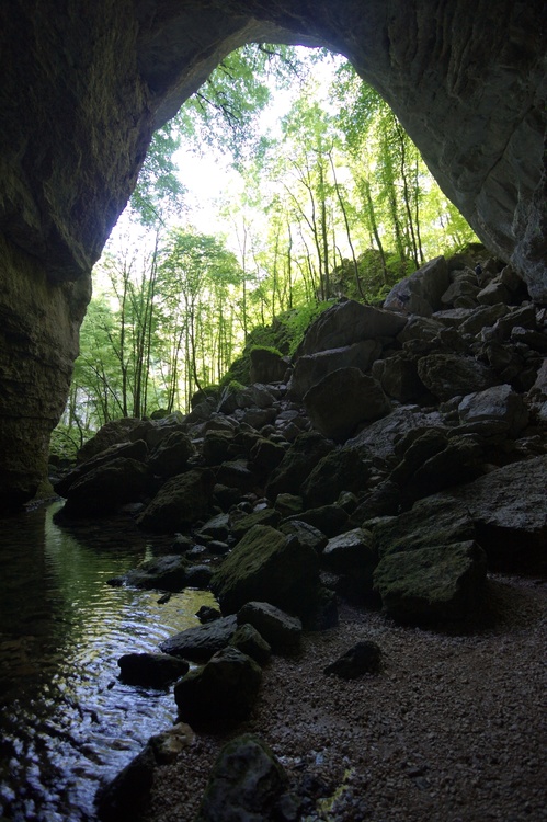 Source du Pontet