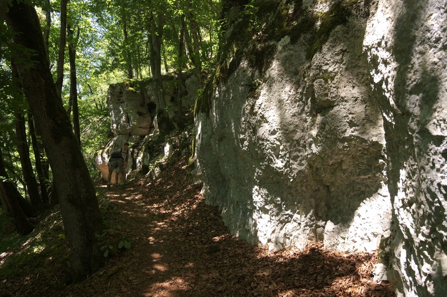 Rive droite