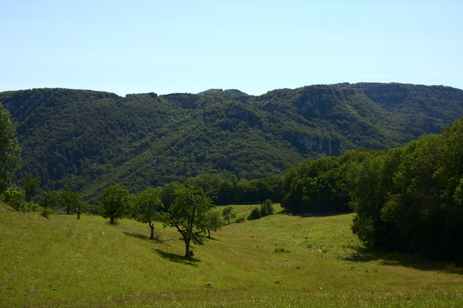 Paysages champêtres