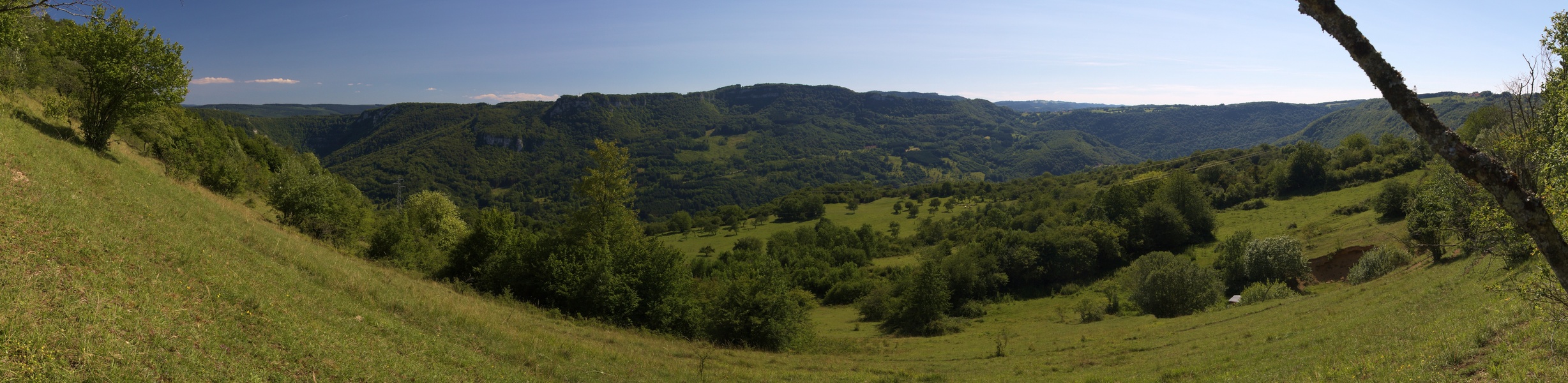 Panorama