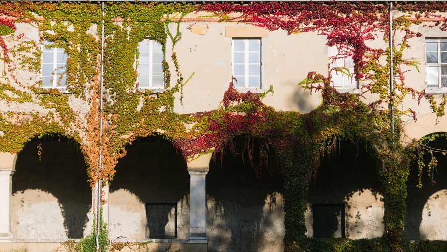 Parc de la visitation
