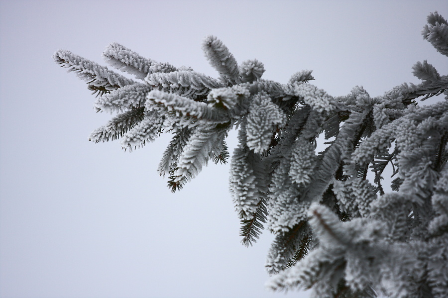 Givre
