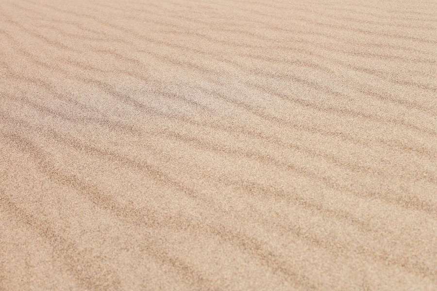 Sable