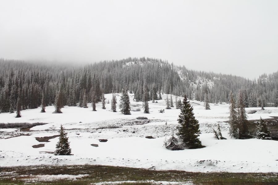 Wolf Creek Pass