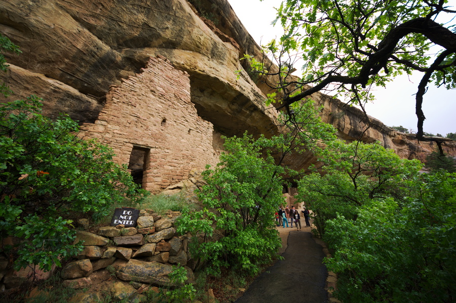 Spruce Tree House