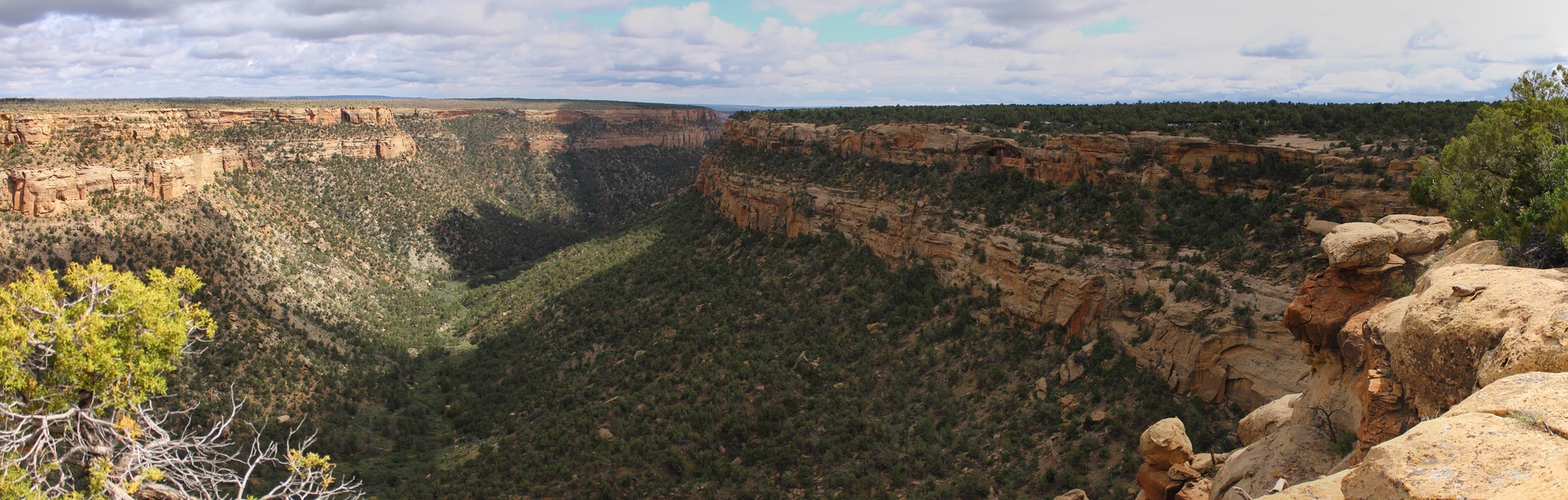 Canyon