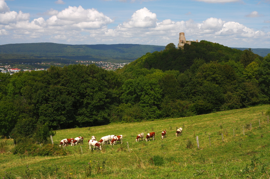 Château de Montfaucon