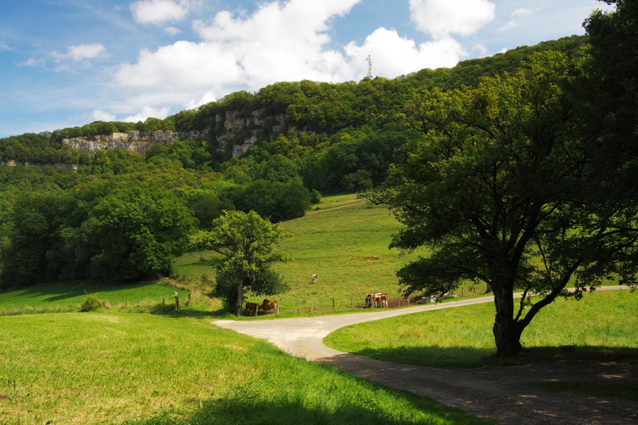 Bois de la Roche