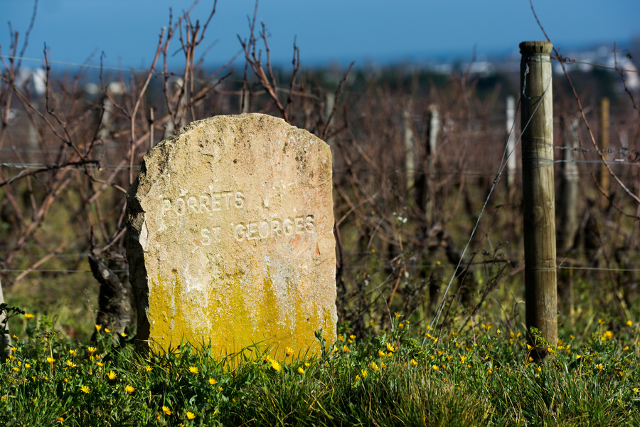 Vignes