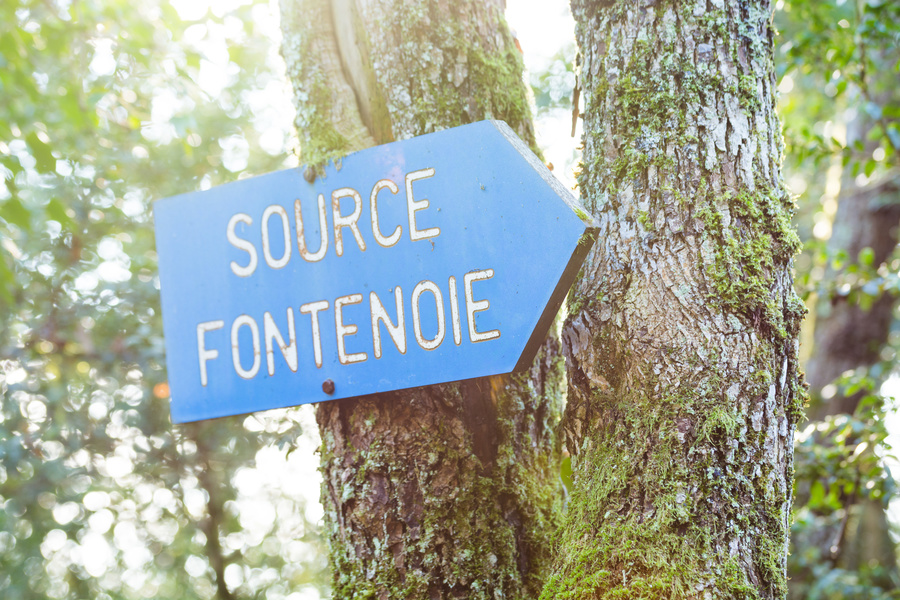 Source Fontenoie