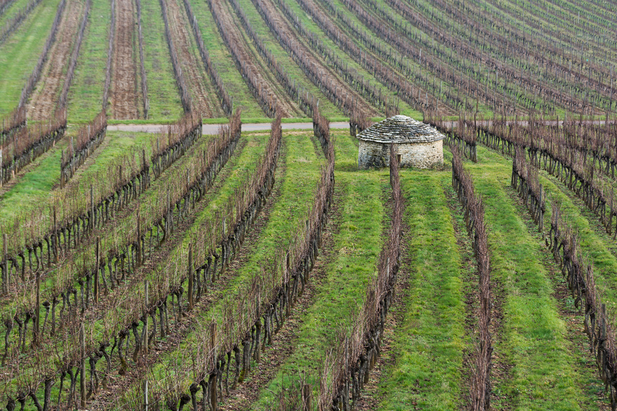Cabotte