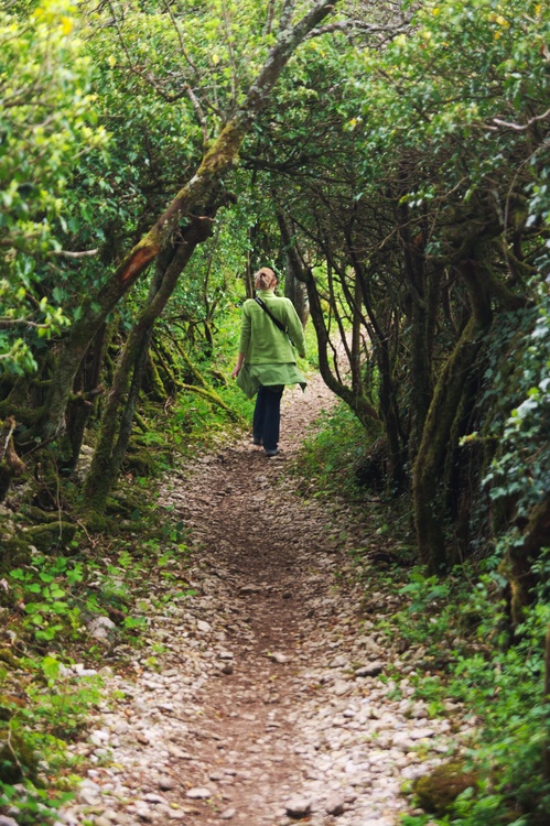 Sentier