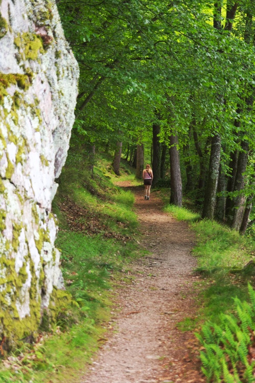 Sentier